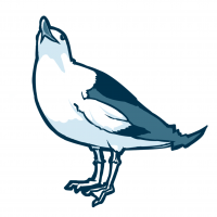 Yoshimura Takuyaさんのプロフィール