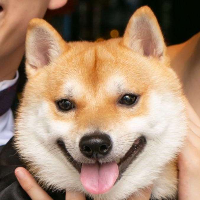 田中さんのアバター画像