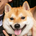 田中 仁さんのアバター