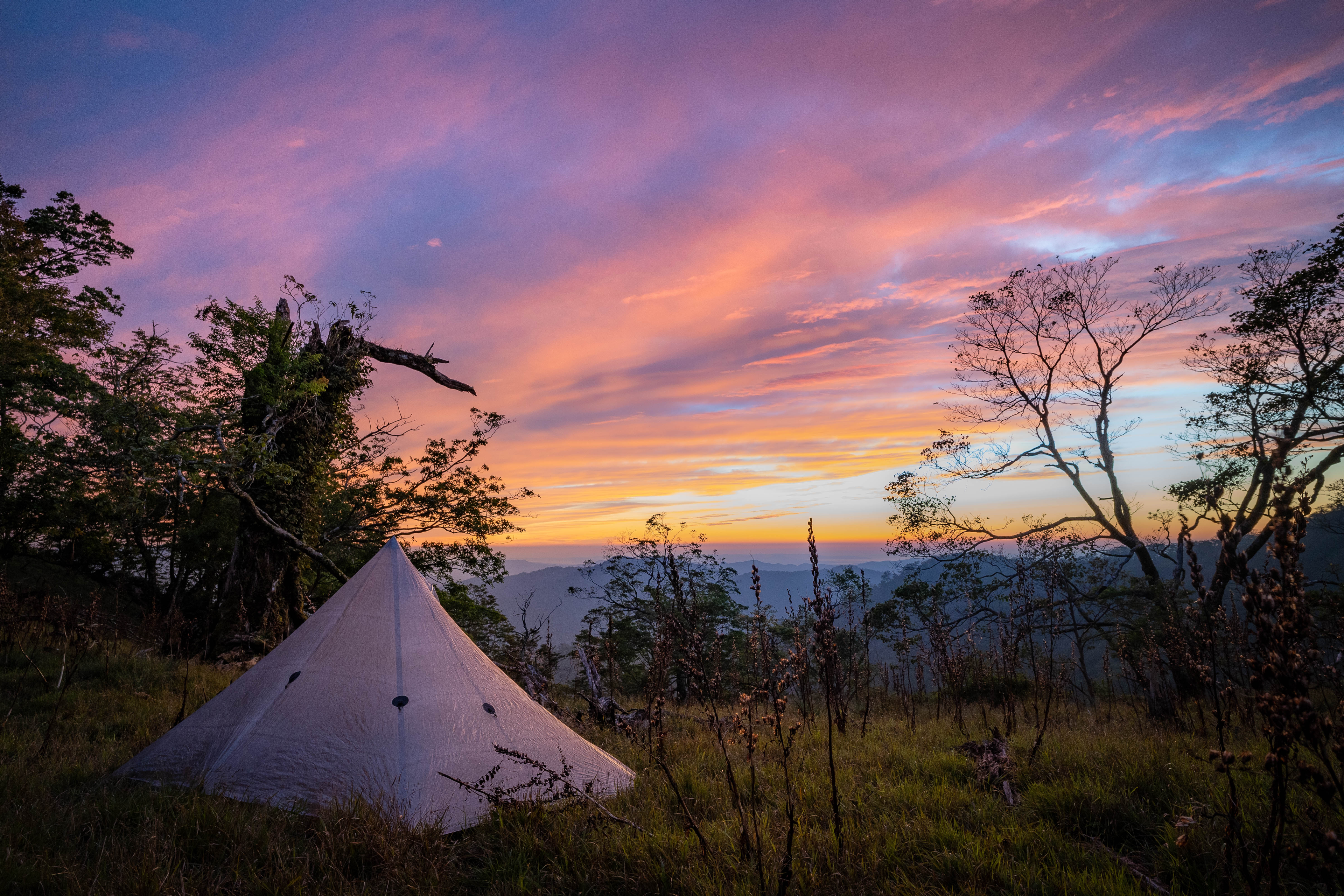 STORE事業部のリーダー4人が勢ぞろい！グループの雰囲気や働き方、仕事への思いを本音で語る