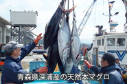 深浦町は青森県の大間を抑え、県内で一番のマグロの水揚げ量を誇ります。  マグロステーキ丼などマグロを活かしたご当地グルメ開発にも積極的です。