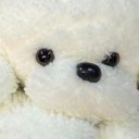 m m