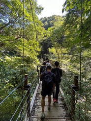 少し前の季節、夏の風景ですが、橋の上から眺める景色はまさに絶景でした。透き通るような青空と緑の木々が広がり、心がスッと洗われるような心地よさを感じました。