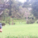 Dedy Noptanto Tri Kurniawan