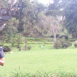 Dedy Noptanto Tri Kurniawan