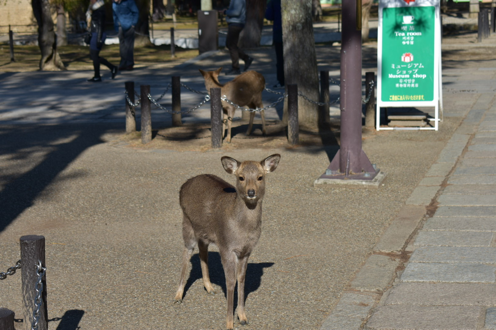 就活生として、どんな場所と人と一緒に自分が働きたいかを真剣に考えてみた。