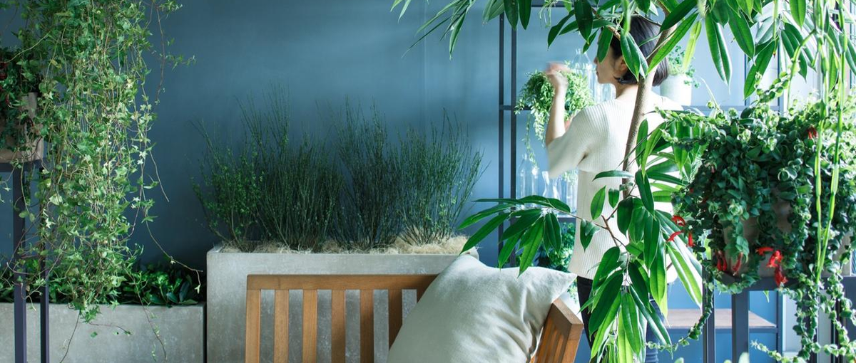 植物に溢れるオフィス空間を提案！経験者歓迎の法人向け企画営業職募集