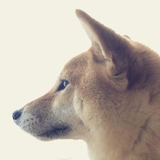 小林 智恵