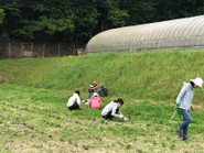 川上の事業：自社農園全国の有機・自然栽培の農家からじゃがいもをいただいていますが、自ら栽培に取組むことによってその難しさを実感しながらノウハウを蓄積し、今後の安定供給に向けての土台作りをしています。
