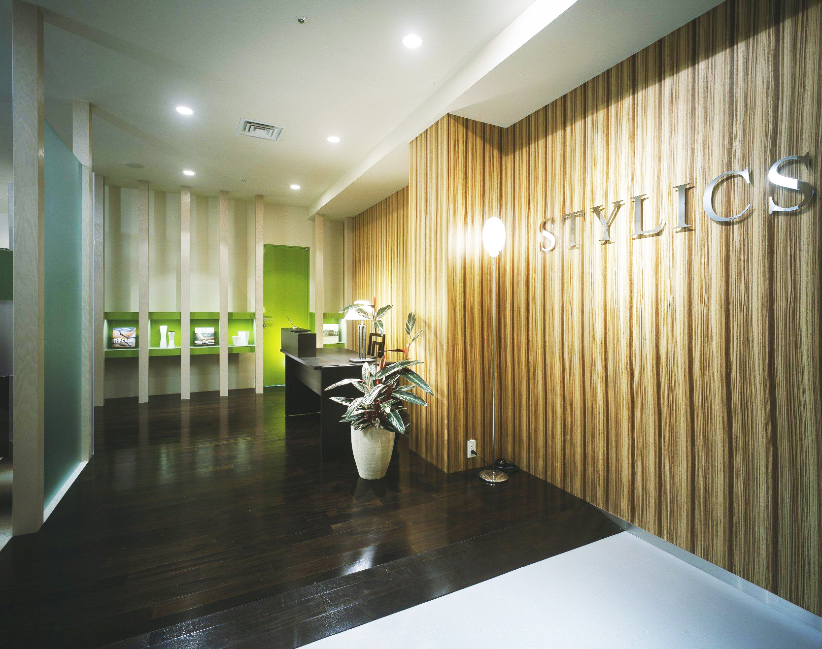 スタイリクスが生まれた背景