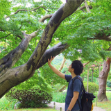 Daisuke Sato
