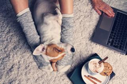 「ペットと飼い主およびペットにまつわる全ての人々の幸せに貢献する」――そんな想いを掲げ2017年8月に設立しました。