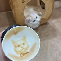 G A