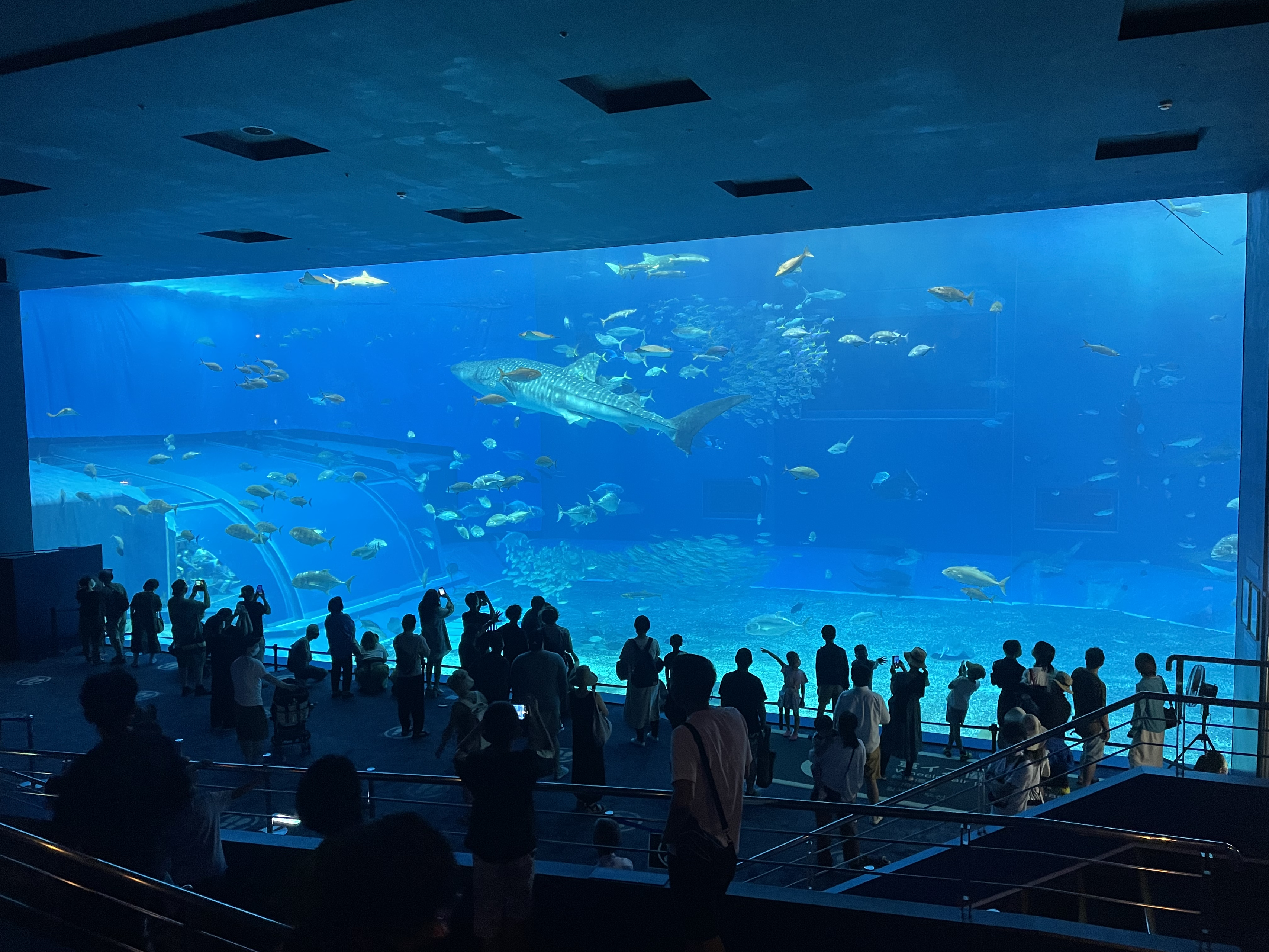 2022年　沖縄社員旅行　3日目🌴🌴🌴