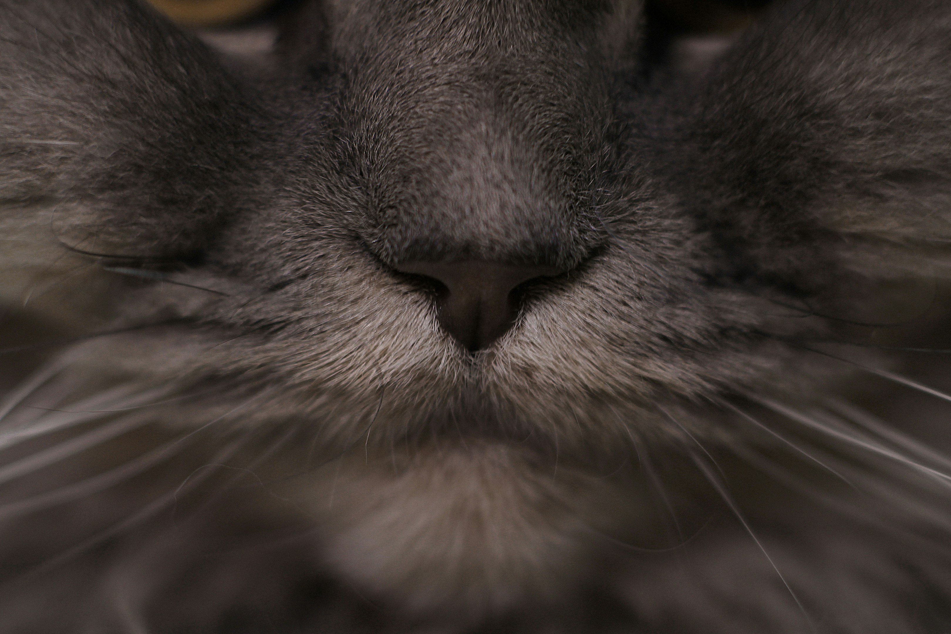 【山本達也：千葉県／市川市】ホッチキスの針が足りない会議から学んだリーダーシップの話