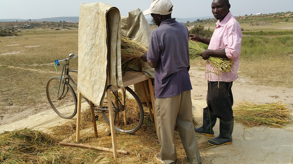 難民居住地で日本人が農業振興に関わる意義