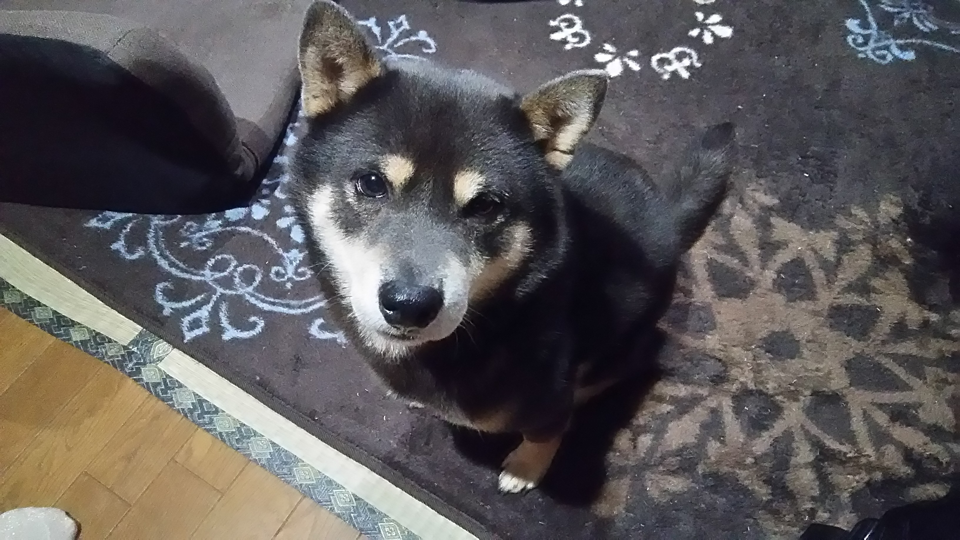 山口 あゆみ