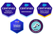 チームのメンバーはSalesforce・AWS・Slack等の認定資格を保有。質の高いサービスを提供するために、技術や知識の向上を目指しています。