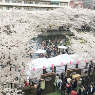 中目黒で行ったイベント（SAKURA GARDEN）