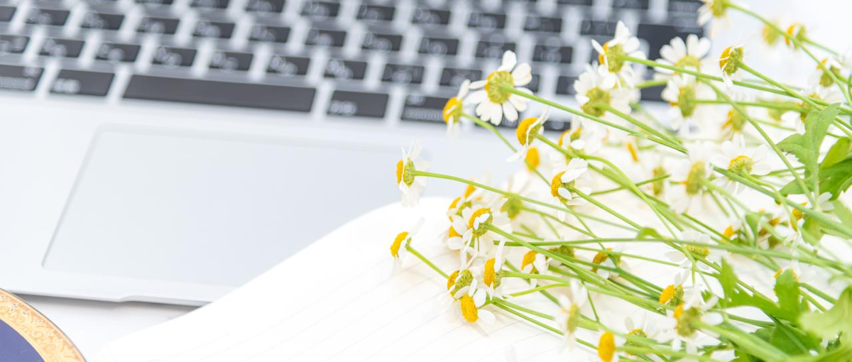 お客様の夢の実現に伴走！SES事業に携わるシステムエンジニアを募集