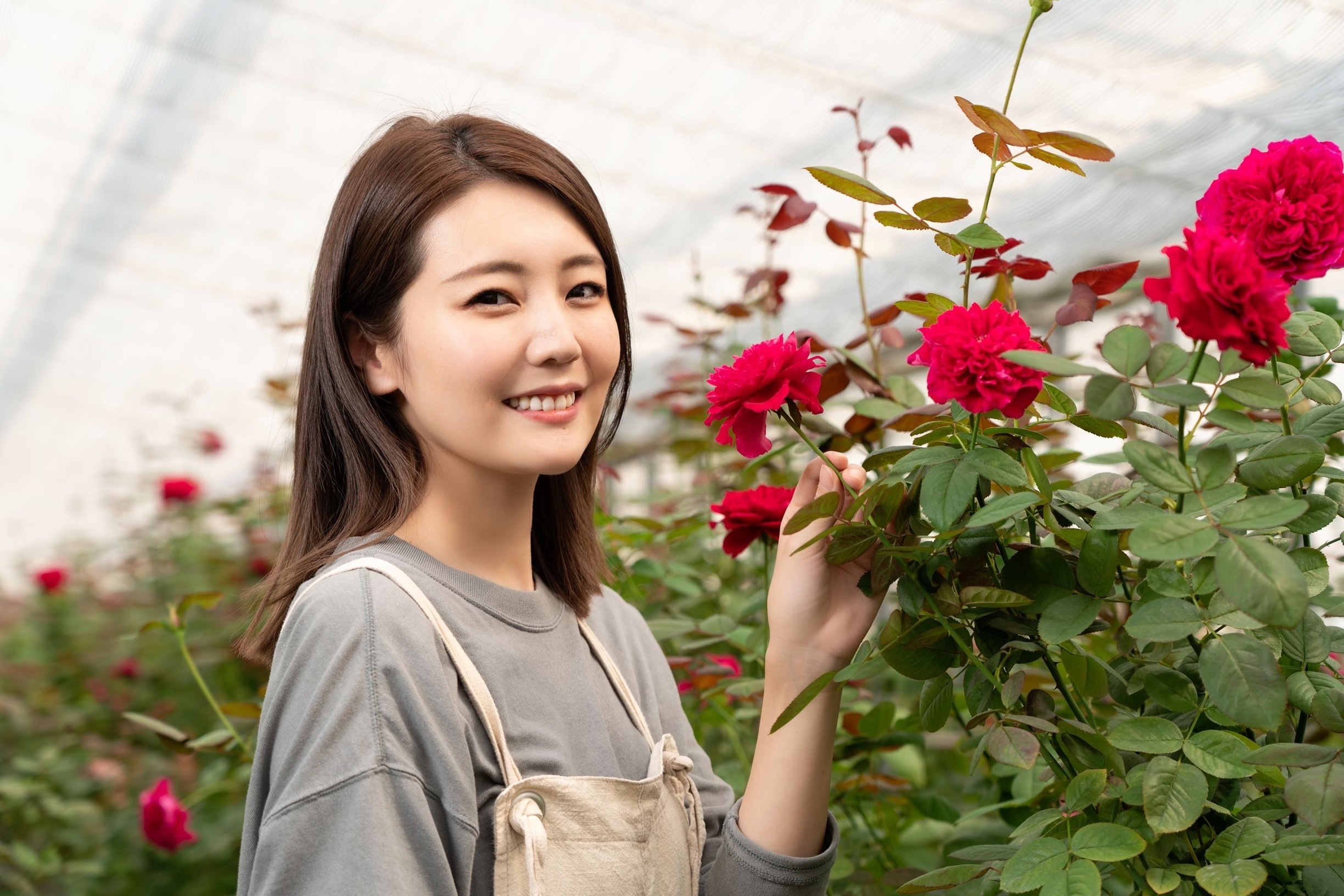 1本300円のバラを1億円売る女性社長と共に世界を目指すセールス募集
