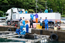 海好き・食好き必見！水産業で一緒に地域を盛り上げてください！