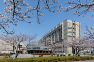 全国各地の病院様へ訪問し、制作を通じて現場を知ることもできます