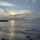 難波 真大