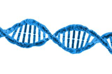 高校生物に詳しい方募集！高校生目線の、新しい学びの形を作りませんか？
