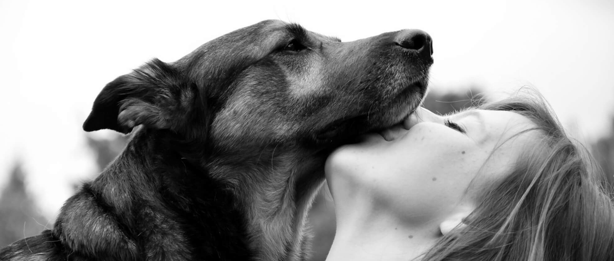 ペットの家族化推進！動物病院・畜産業界の課題解決に挑戦しませんか？