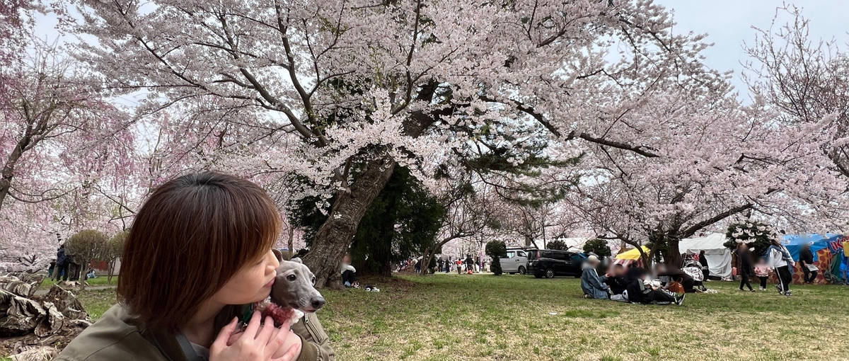 定量×定性分析で課題解決！論理派カスタマーサクセス募集！