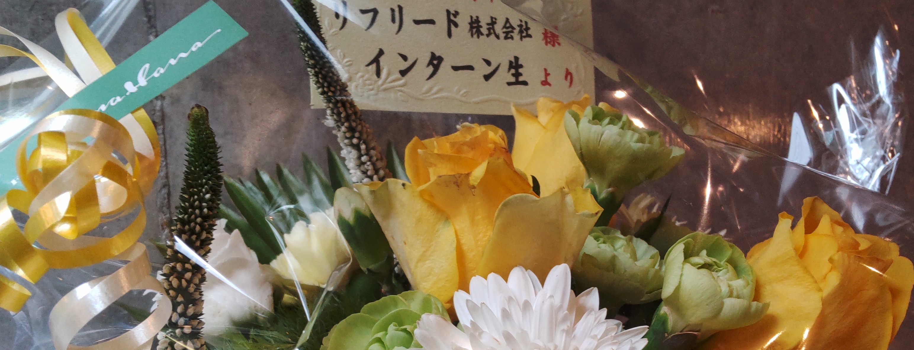 「スキルを身につけたい人へ」　〜様々な仕事に、同時に触れられる環境がある〜