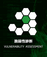 既知/未知問わず脆弱性を検出します。