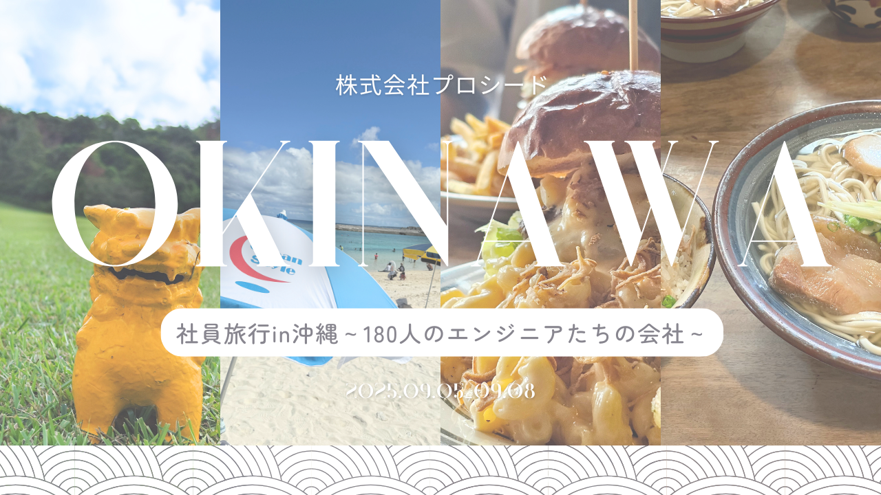 仕事も遊びも、仲間と本気で楽しむ。プロシードのカルチャーが見える社員旅行！