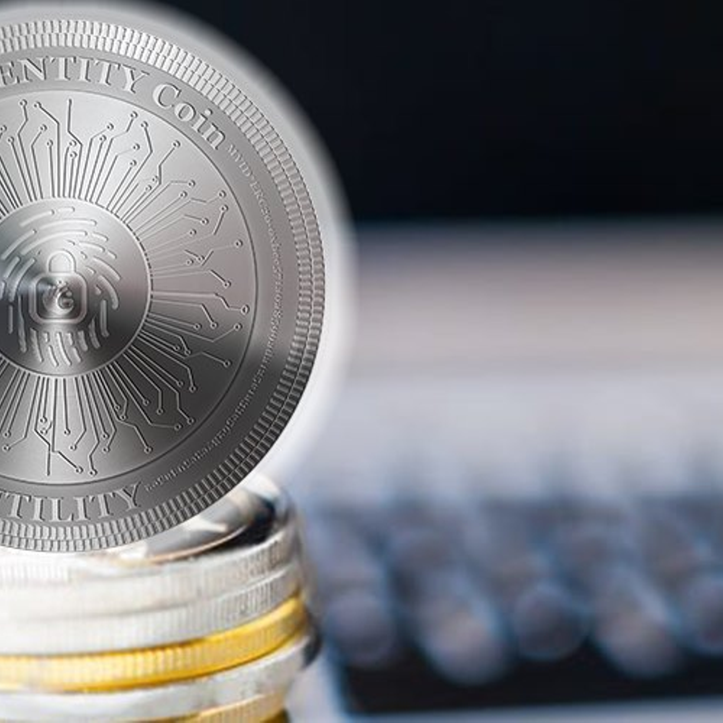 Members at OkGlobal Coin Switch Pte Ltd Wantedly