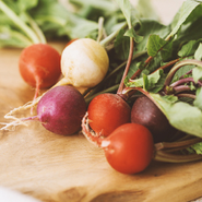 日本有数のイタリア野菜の生産地として有名です。