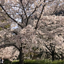 OSHIMA RYOTA