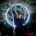 Daito Koga