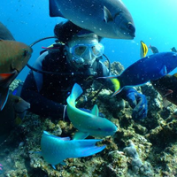 杉野 智行さんのプロフィール