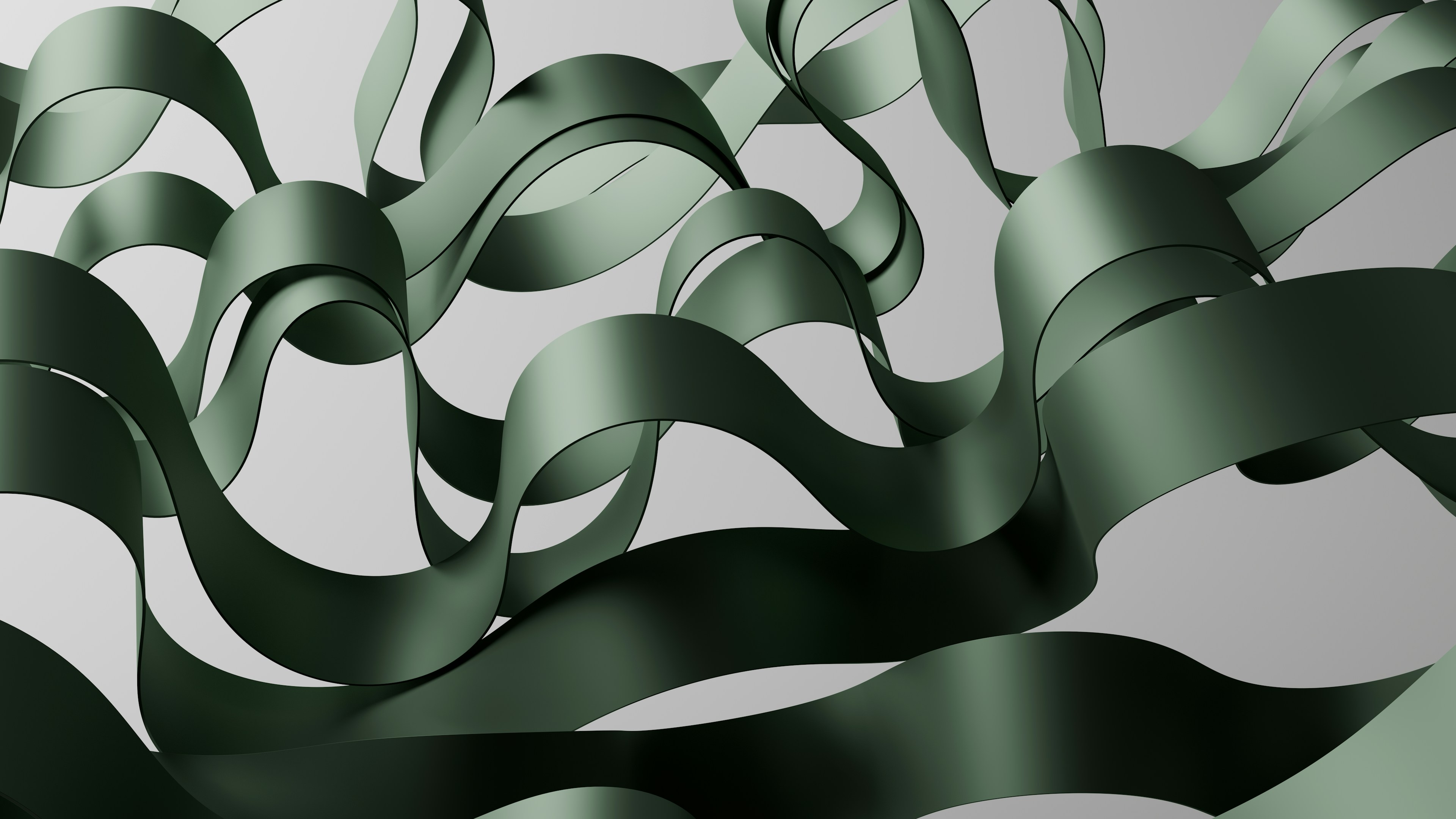 【山本龍星・滋賀】名刺入れが僕にキャリアの未来図を描いてきた朝