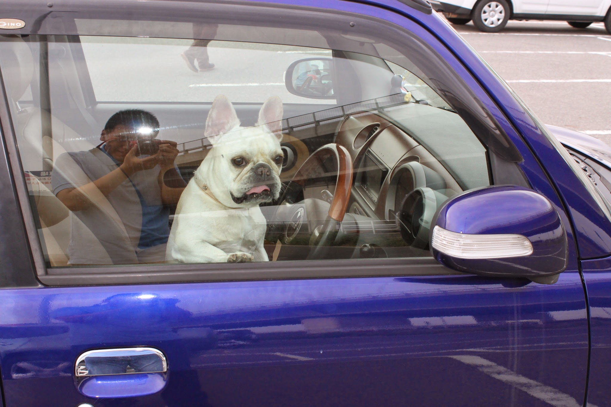 今、僕にできること。テレワークを始めたいけど何から始めれば良いのか、わからない人を助けること。