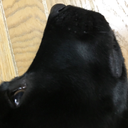 航 熊倉