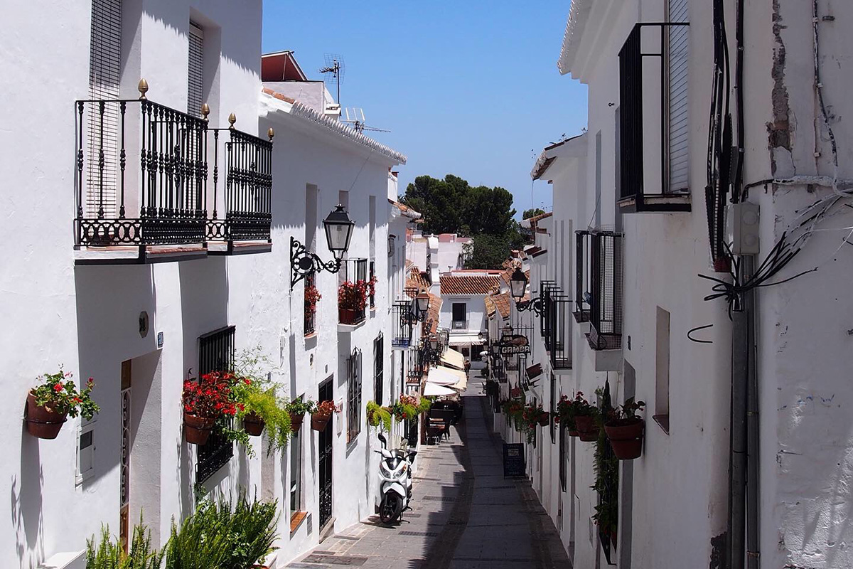 2019 エクストの夏休み