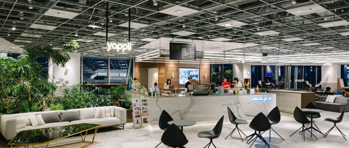 新卒オープンポジション！ノーコードのSaaSベンチャーに挑戦！