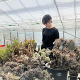 Yukari Yamaguchi