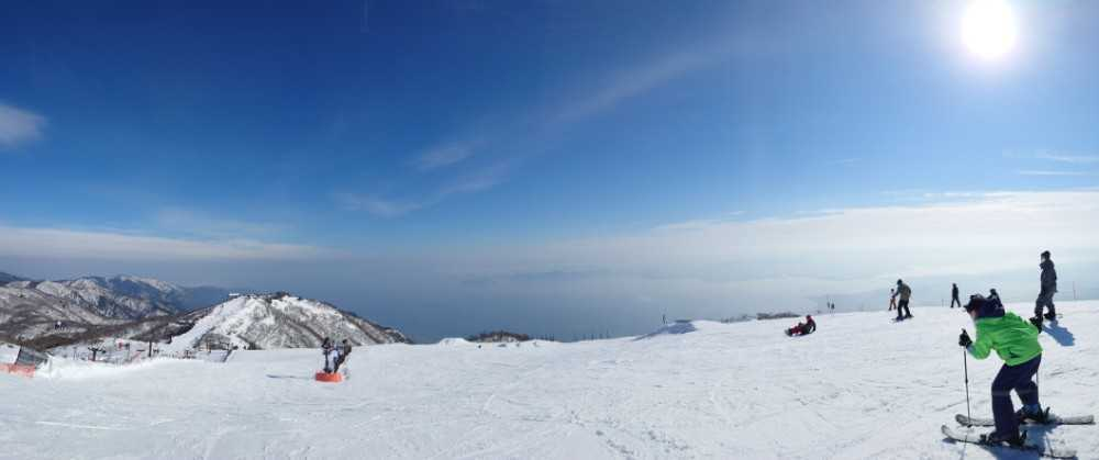 なぜ社会人3年目・24歳の私が東証一部企業からスタートアップへの転職を選んだのか