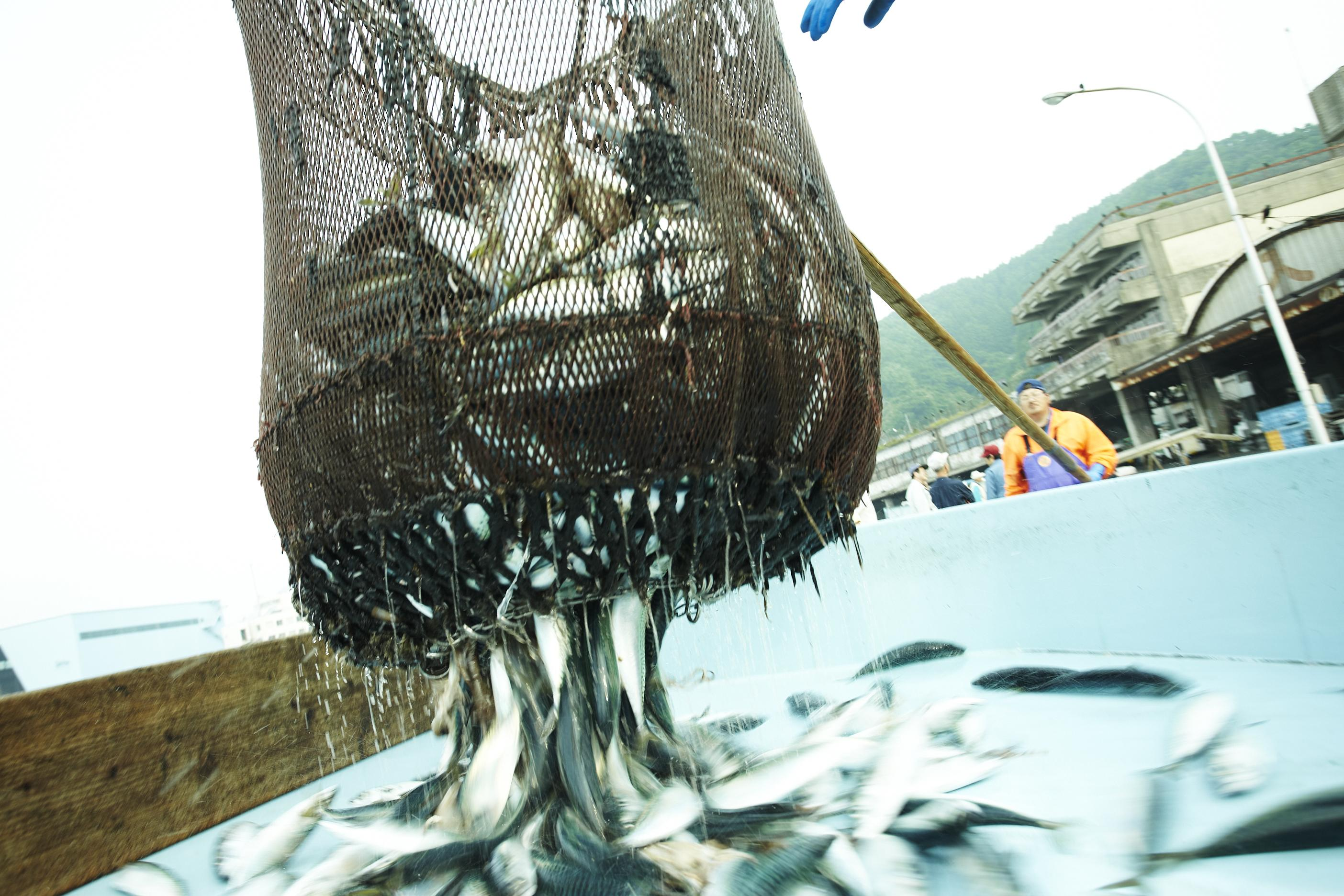 7/31 水産資源問題とどう向き合うか。by 東京営業所