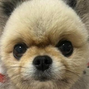 緒方 智紀