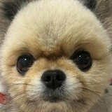 緒方 智紀