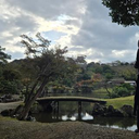 池田 咲